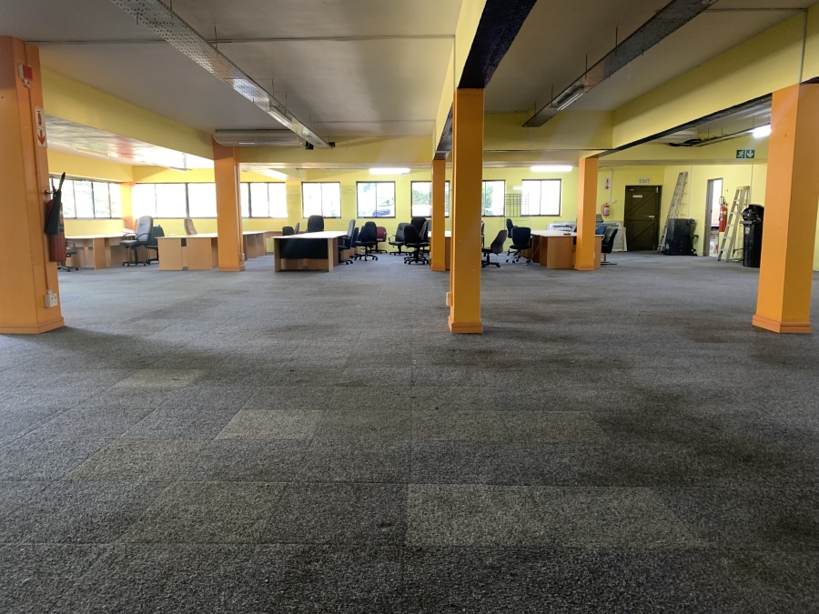 To Let commercial Property for Rent in Rondebosch Western Cape